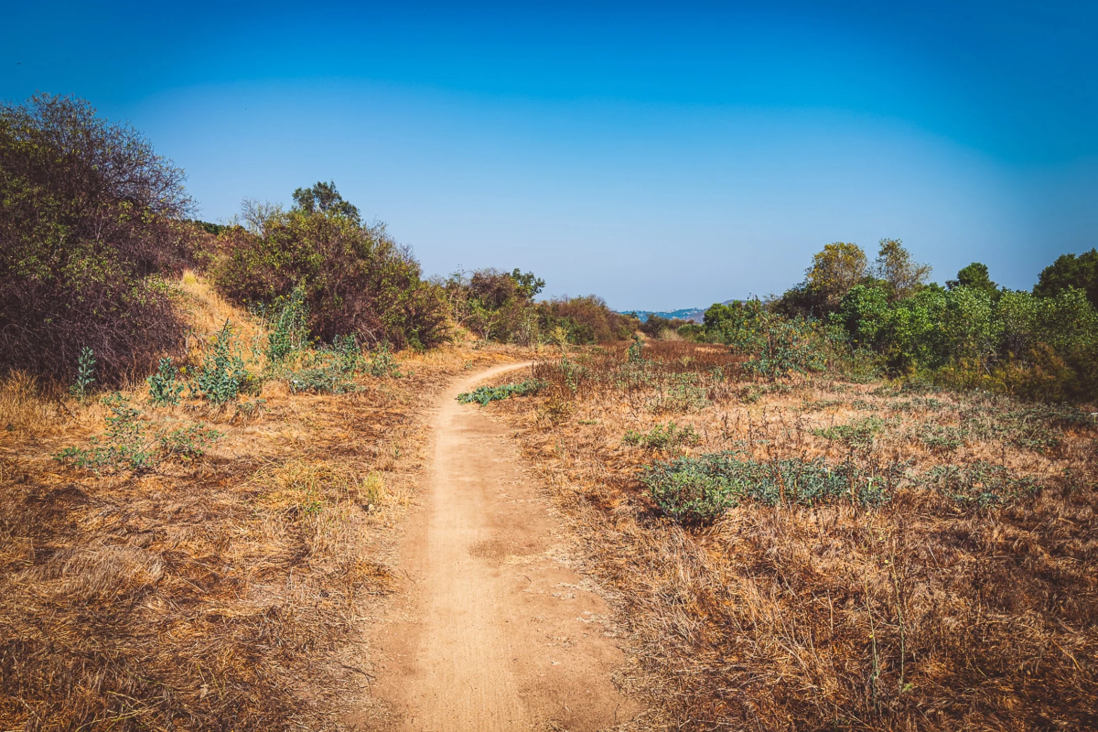 The Coast to Crest Trail winding through the San Pasqual Valley