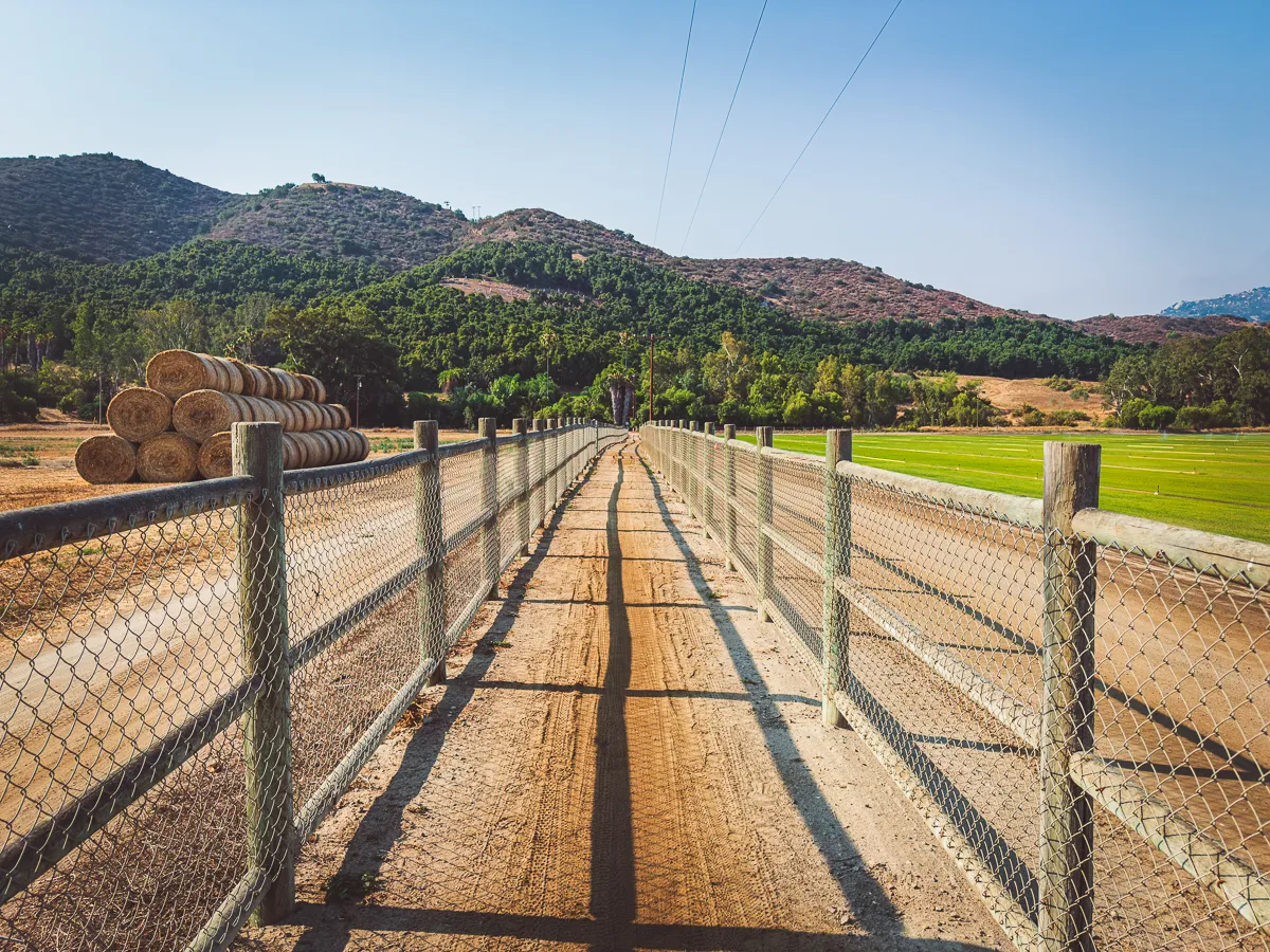 Section of the Coast to Crest Trail in San Pasqual Valley