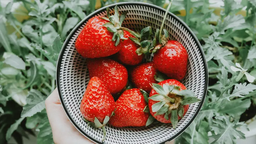 Photo of a bowl of fresh strawberries