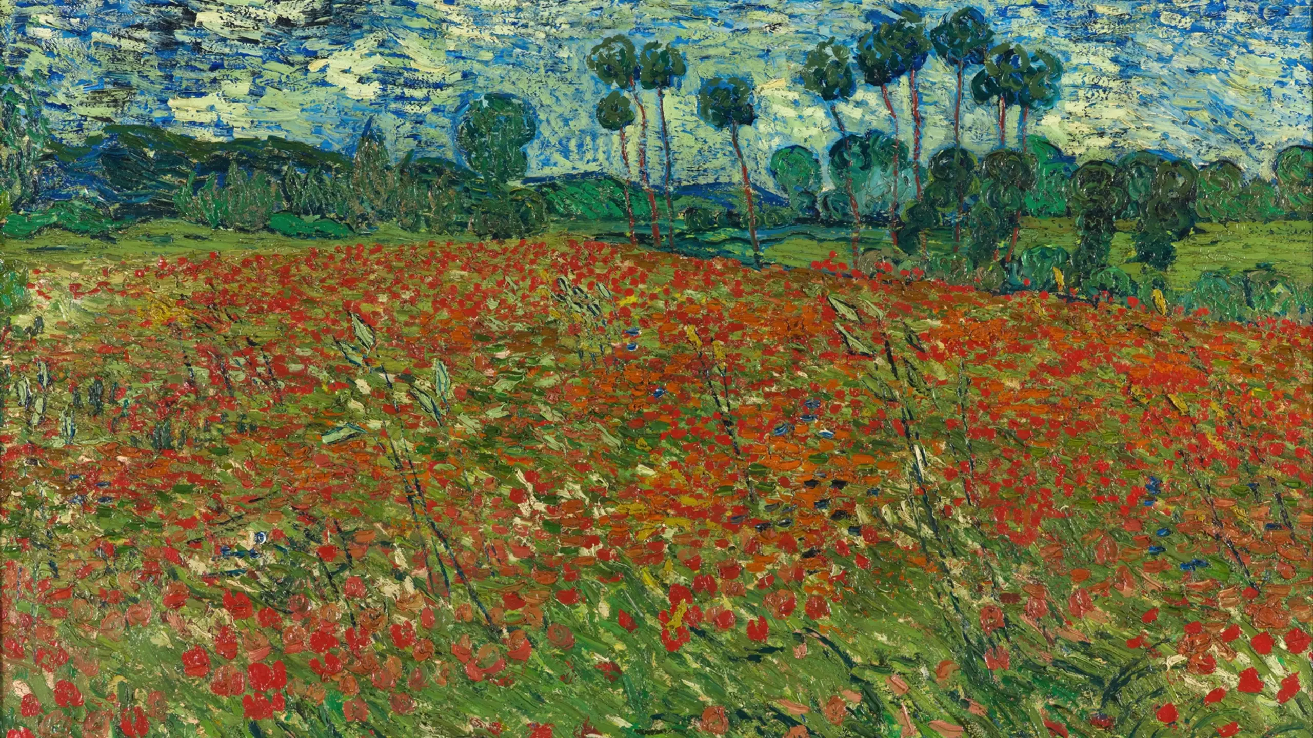 A painting by Vincent van Gogh titled 'Poppy Field'