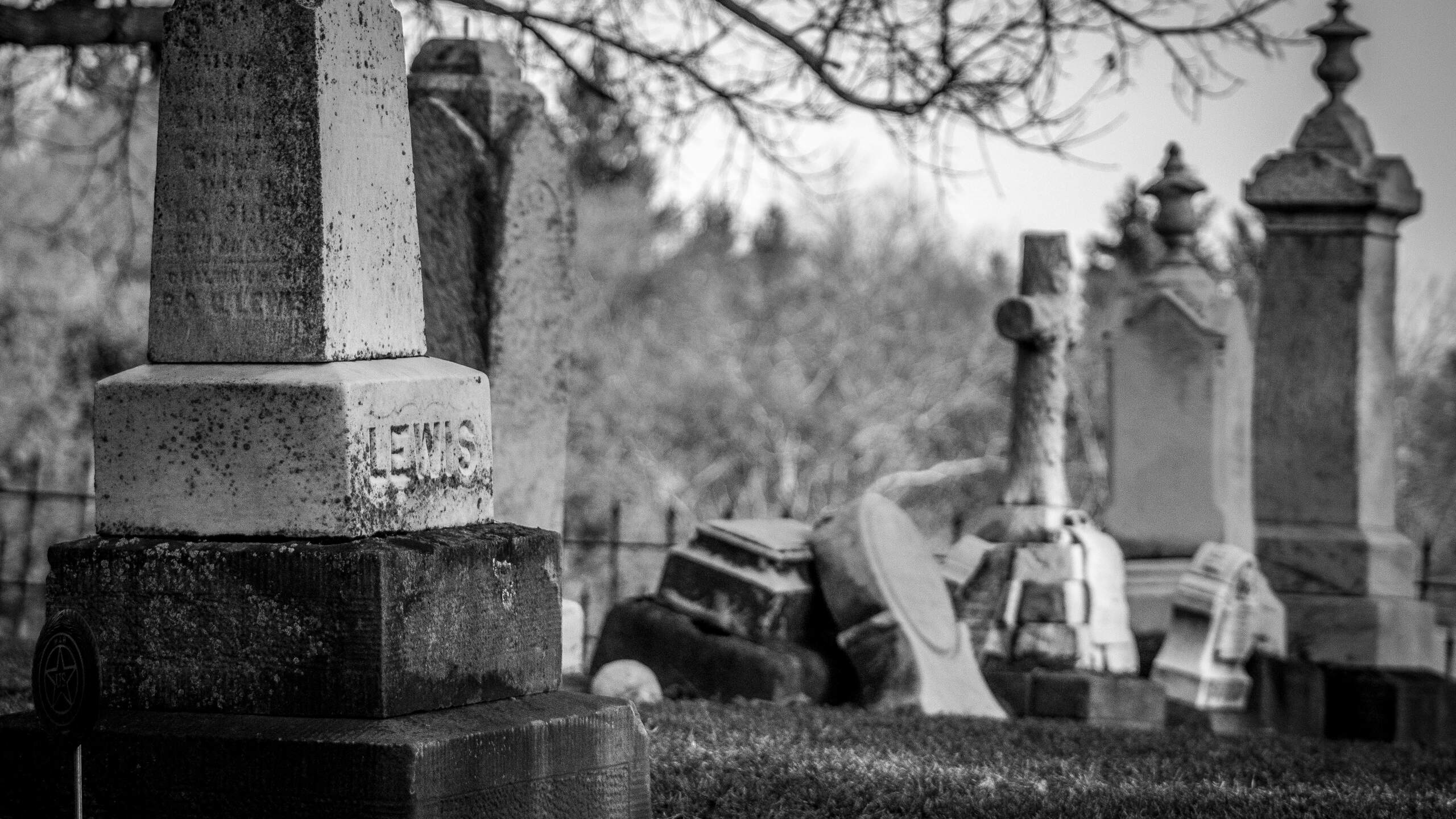 grayscale photo of a cemetery