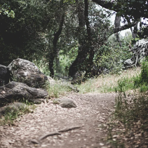 A secluded path at Felicita County Park in Esondido, California