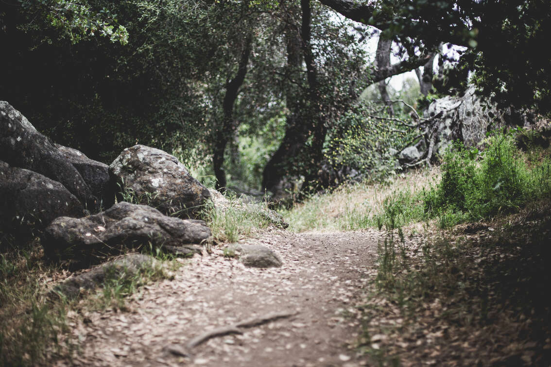 A secluded path at Felicita County Park in Esondido, California