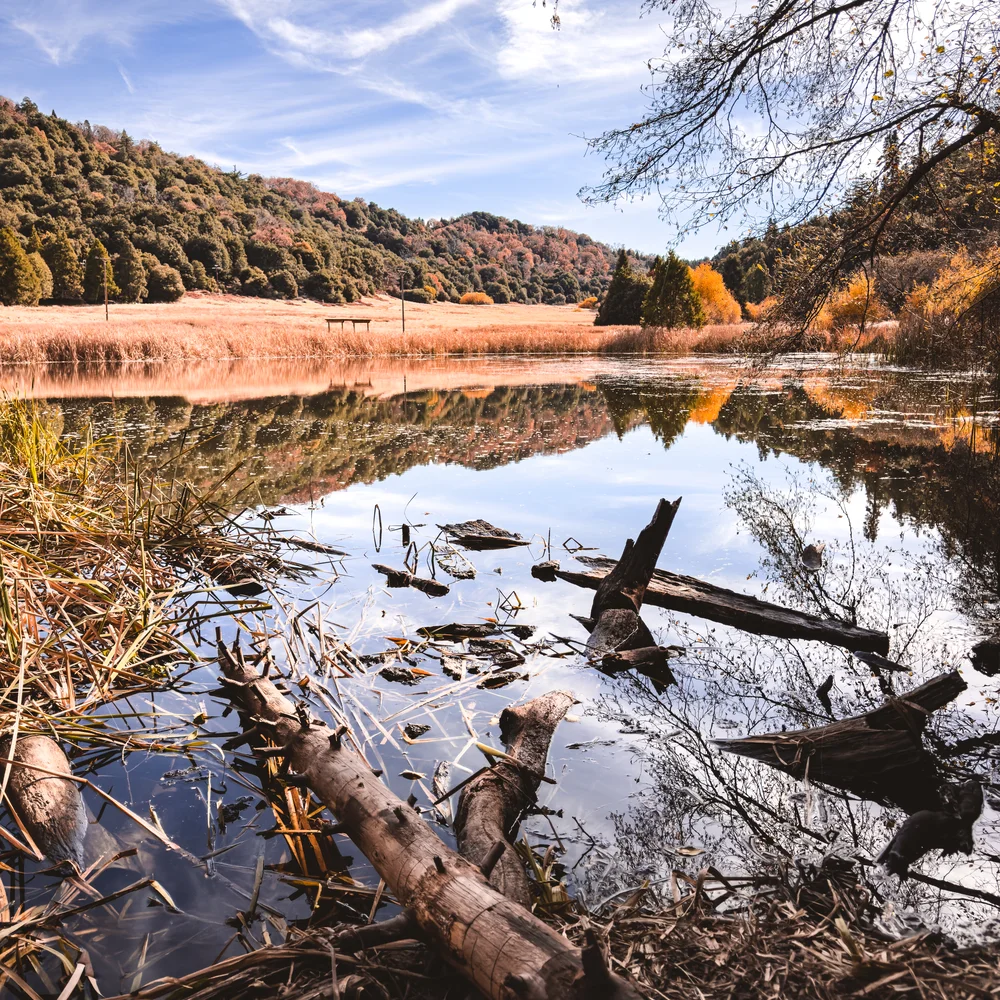 Doane Pond in Palomar Mountain State Park