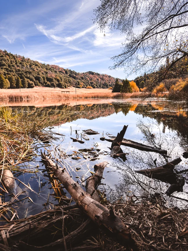 Doane Pond at Palomar Mountain, California in late fall