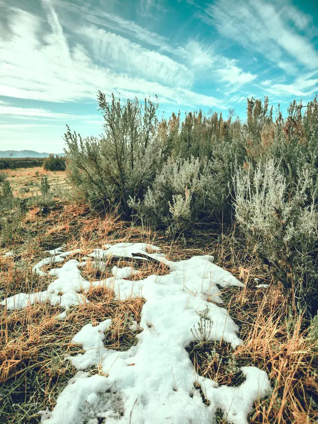 A patch of snow in Washoe Valley, Nevada on a winter morning