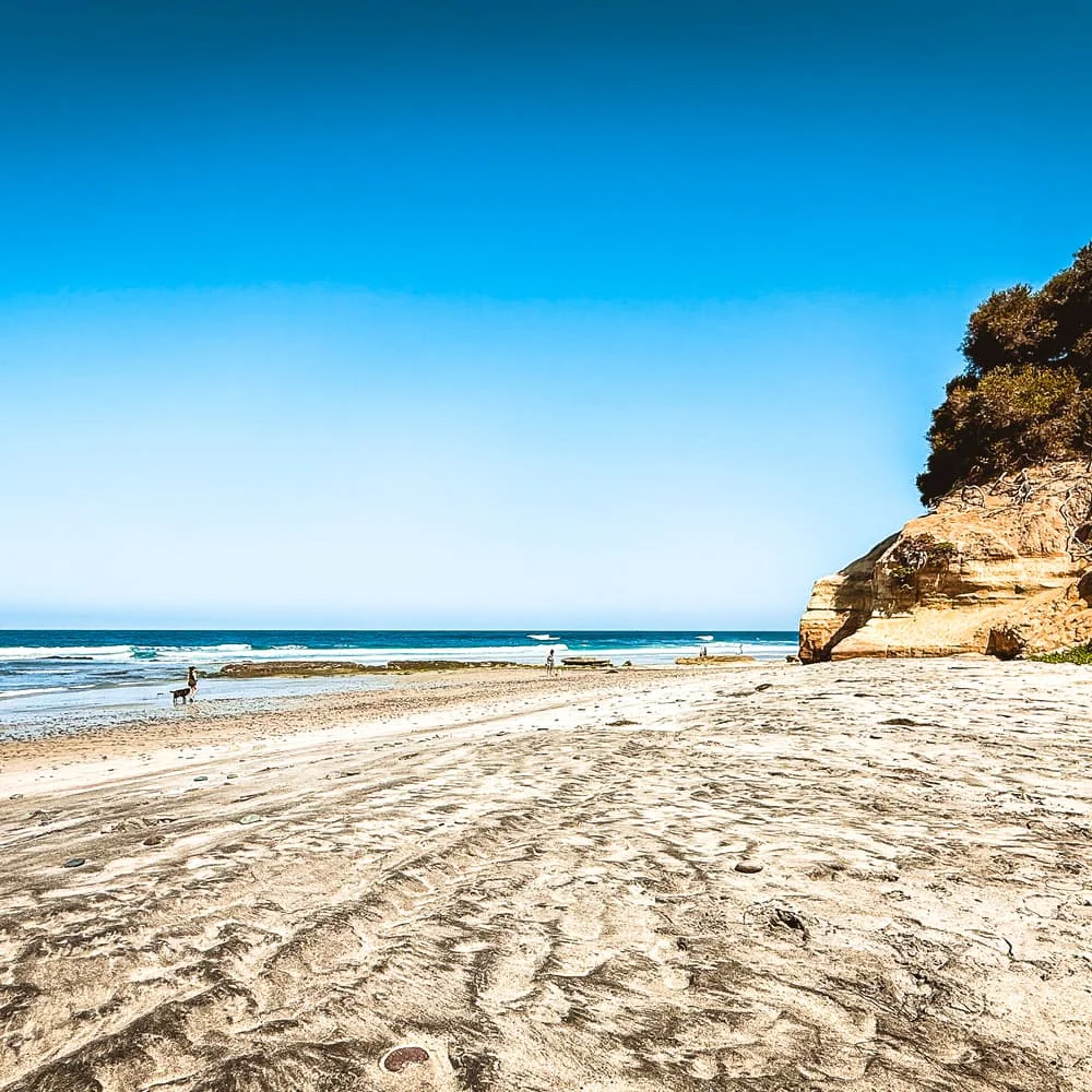 Seaside Reef in Encinitas, California