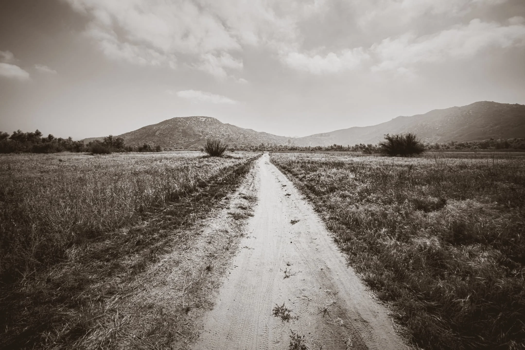 Coast to Crest Trail in San Pasqual Valley, California