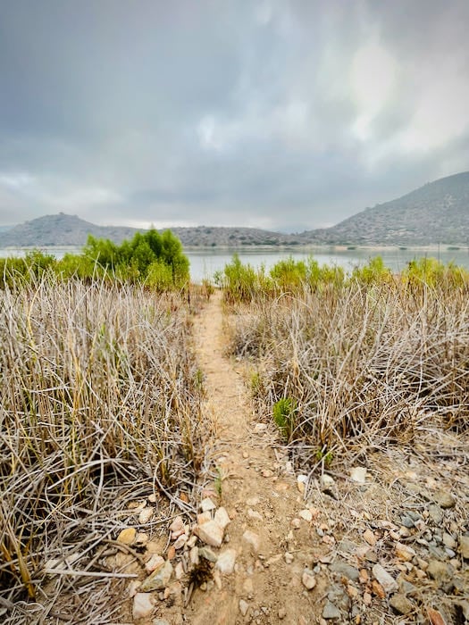 Trail spur leading down to the lake