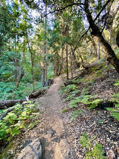 Doane Valley Nature Trail