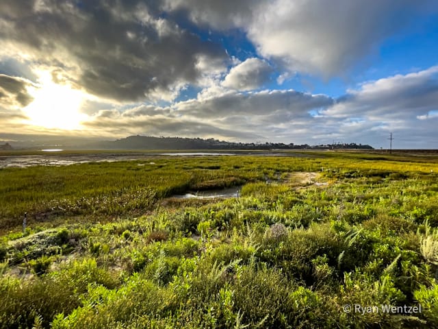 San Elijo Lagoon