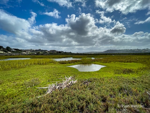 San Elijo Lagoon