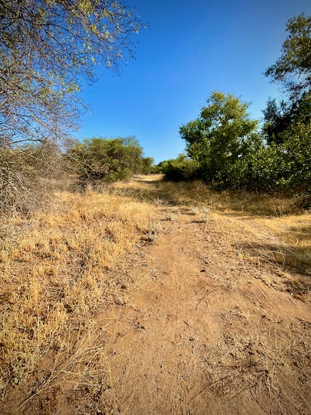 Main Valley Trail