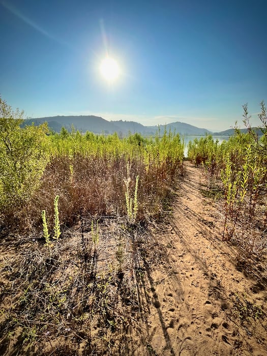 Lake Hodges